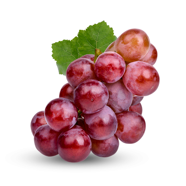 delicolor kelsis color uva